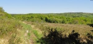 Countryside - Family Holiday Brittany