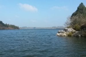 Week 8 - Brittany Holiday Cottage